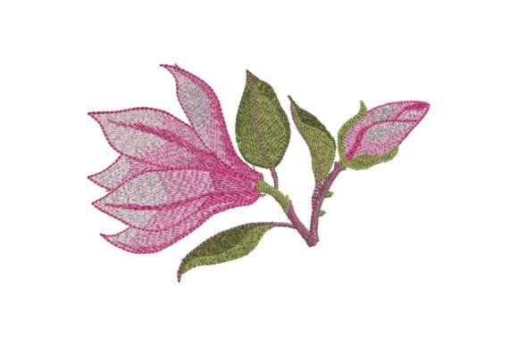 Pink Magnolia Flower: A Designer’s Review